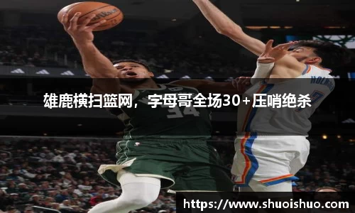 SG胜游官网