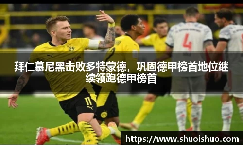 SG胜游官网