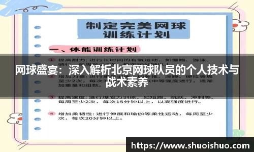 网球盛宴：深入解析北京网球队员的个人技术与战术素养