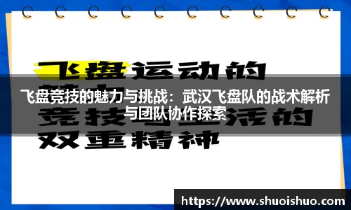 飞盘竞技的魅力与挑战：武汉飞盘队的战术解析与团队协作探索