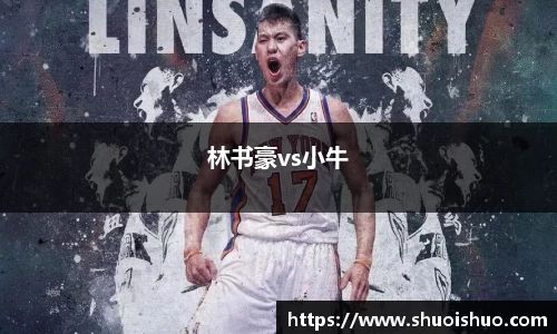 林书豪vs小牛