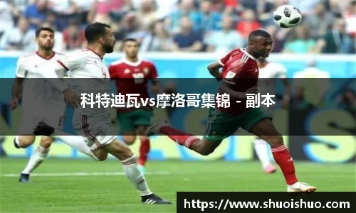 科特迪瓦vs摩洛哥集锦 - 副本
