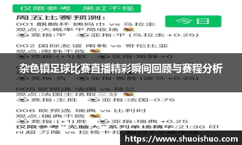 SG胜游下载