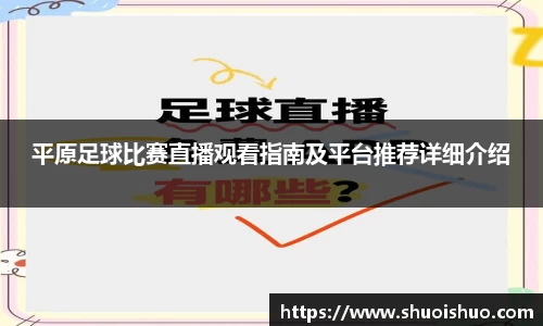 平原足球比赛直播观看指南及平台推荐详细介绍