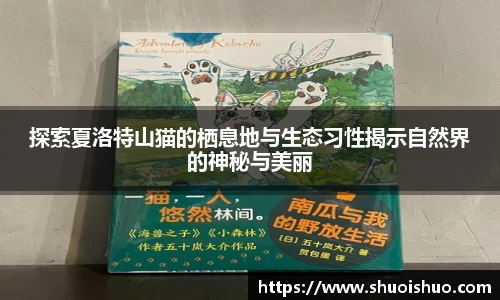 SG胜游下载