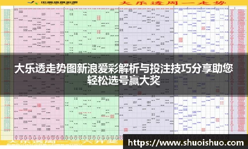 大乐透走势图新浪爱彩解析与投注技巧分享助您轻松选号赢大奖