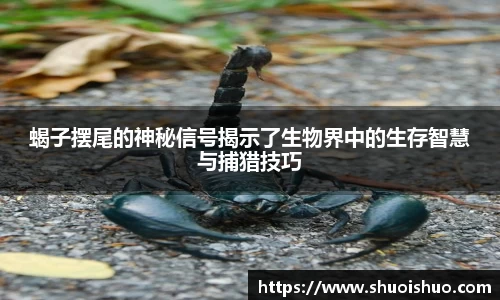 SG胜游平台