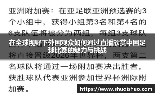 在全球视野下外国观众如何通过直播欣赏中国足球比赛的魅力与挑战
