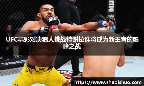 UFC精彩对决狼人挑战特谢拉谁将成为新王者的巅峰之战