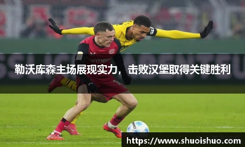 勒沃库森主场展现实力，击败汉堡取得关键胜利